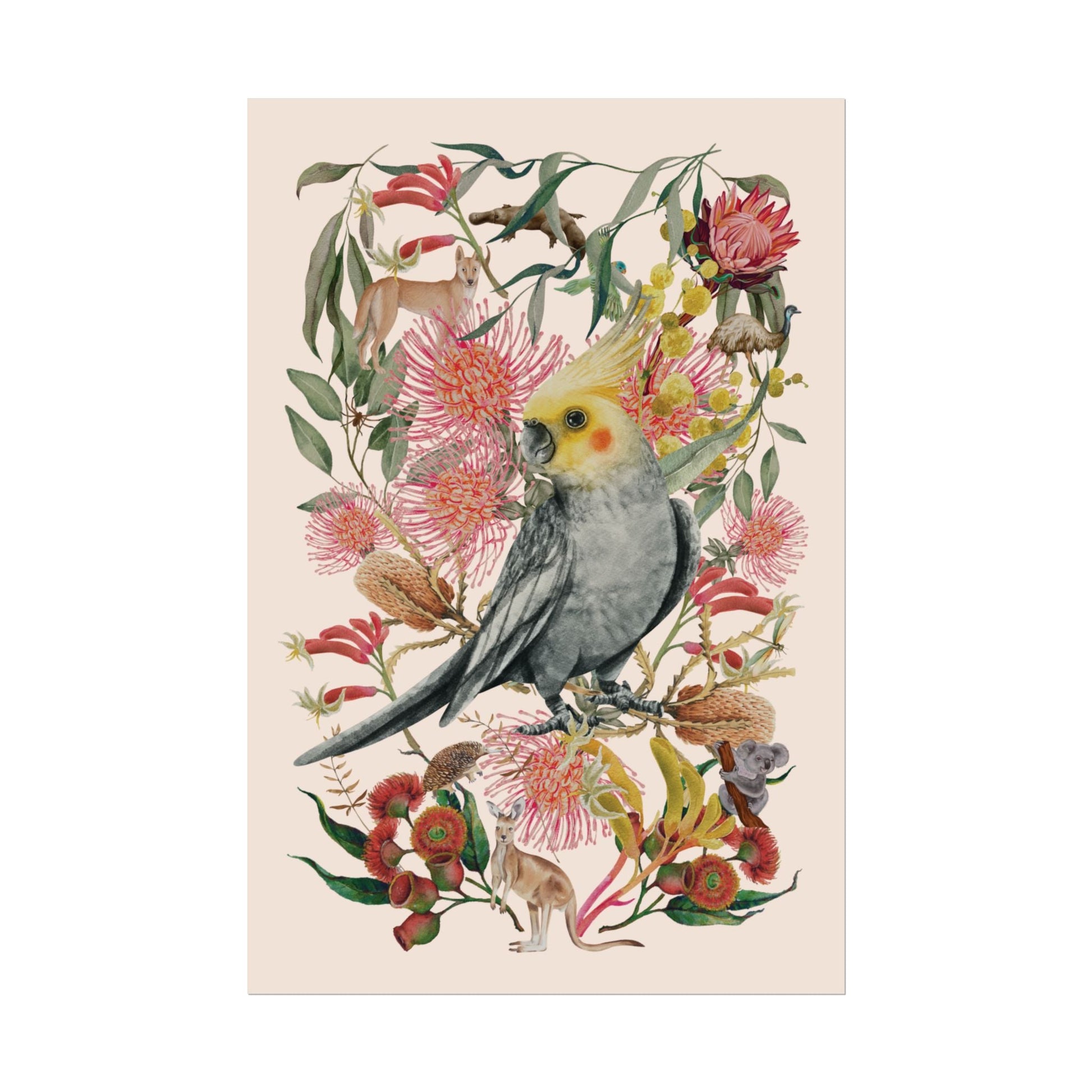 Australian Native Cockatiel unframed poster - Solei Designs