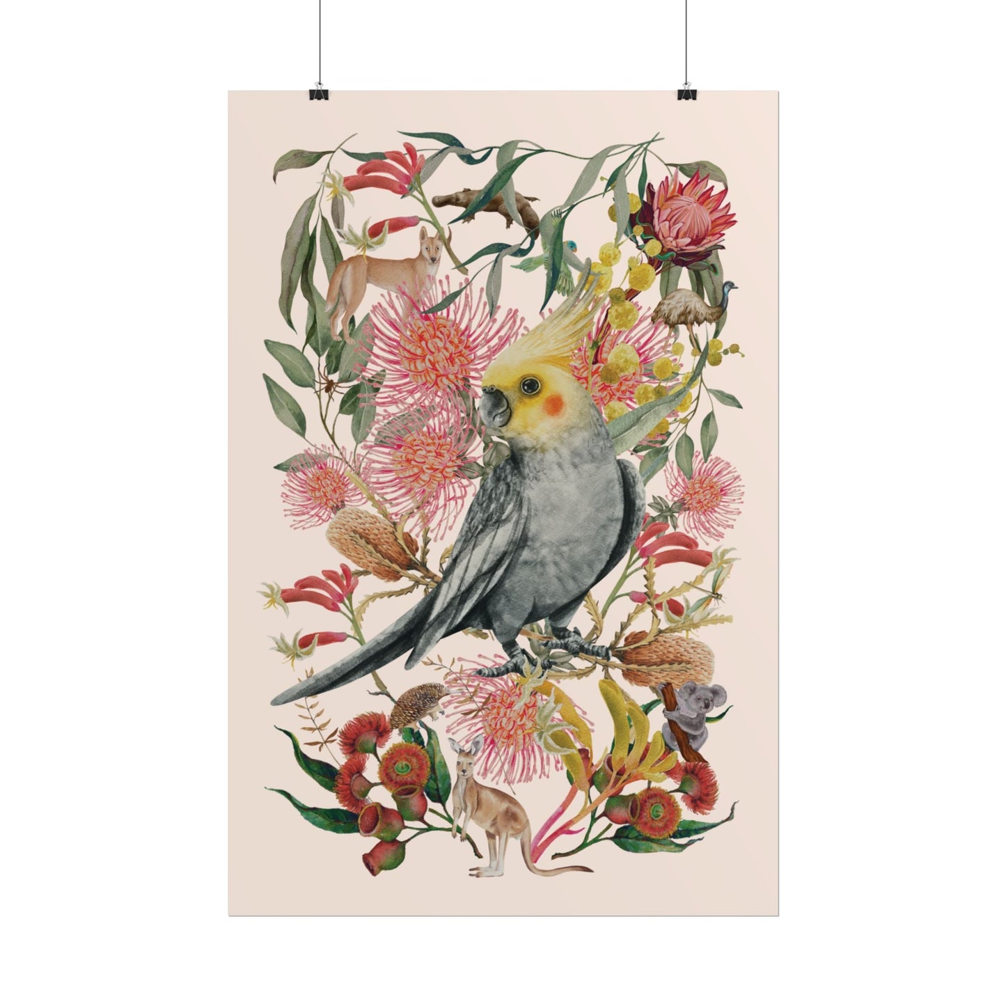 Australian Native Cockatiel unframed poster - Solei Designs