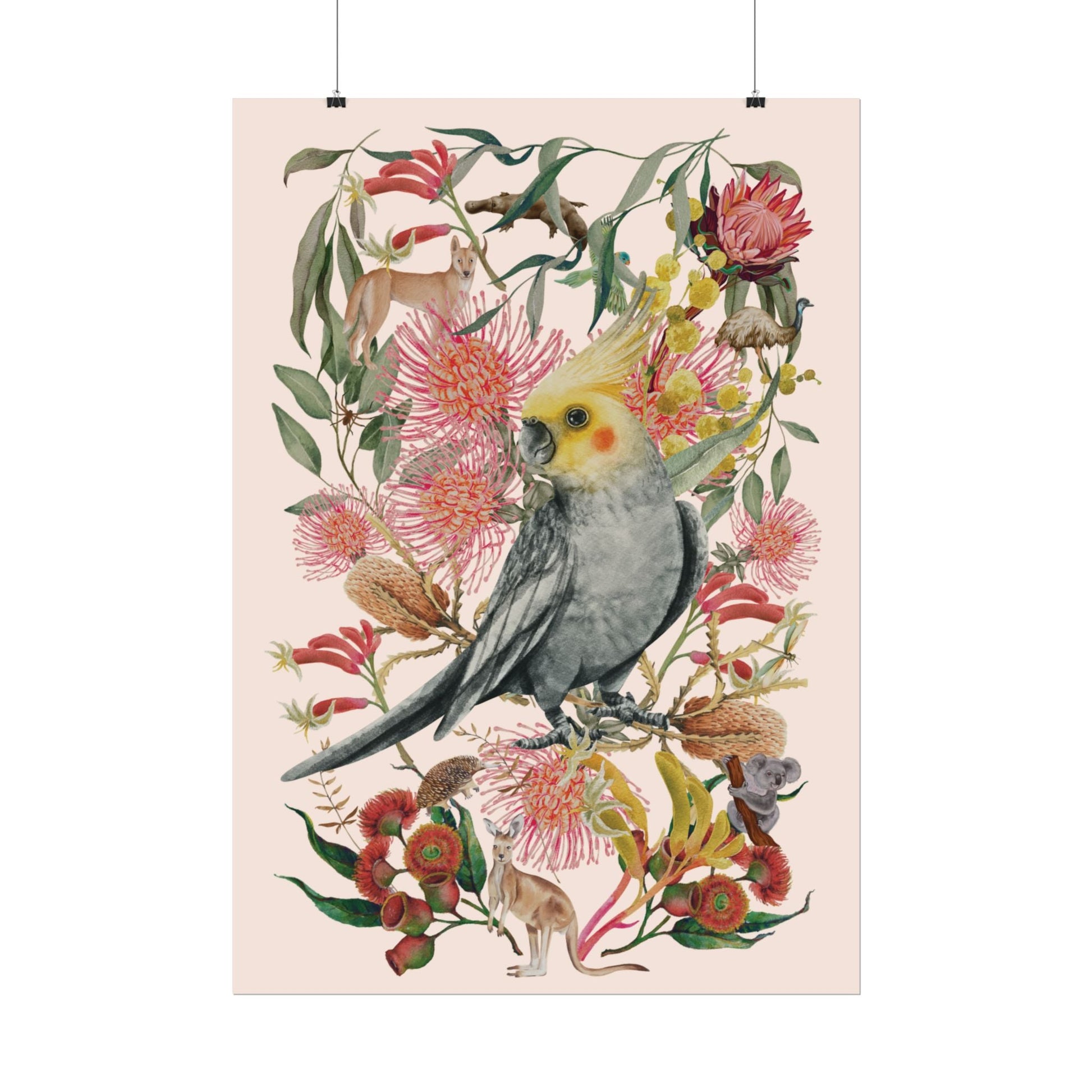 Australian Native Cockatiel unframed poster - Solei Designs