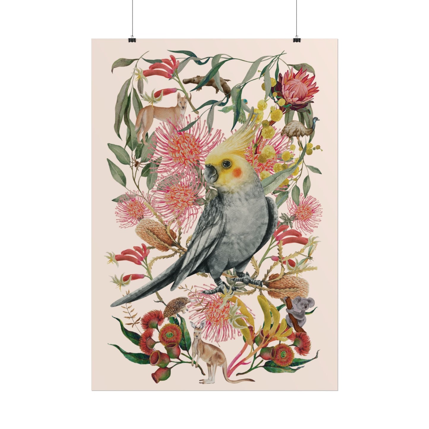 Australian Native Cockatiel unframed poster - Solei Designs