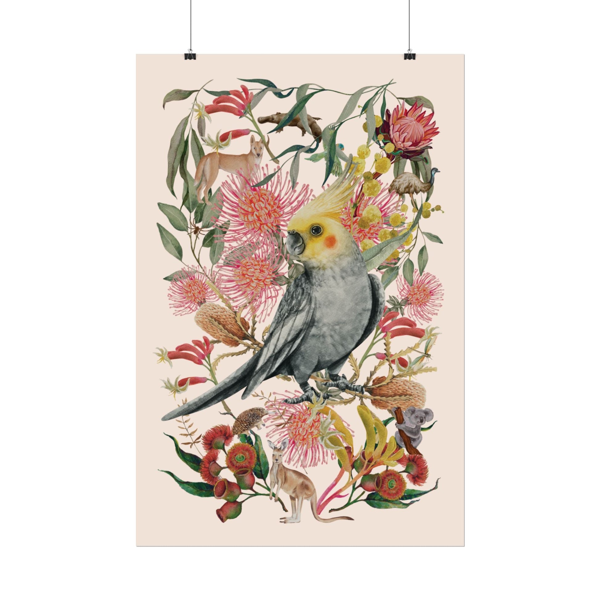 Australian Native Cockatiel unframed poster - Solei Designs