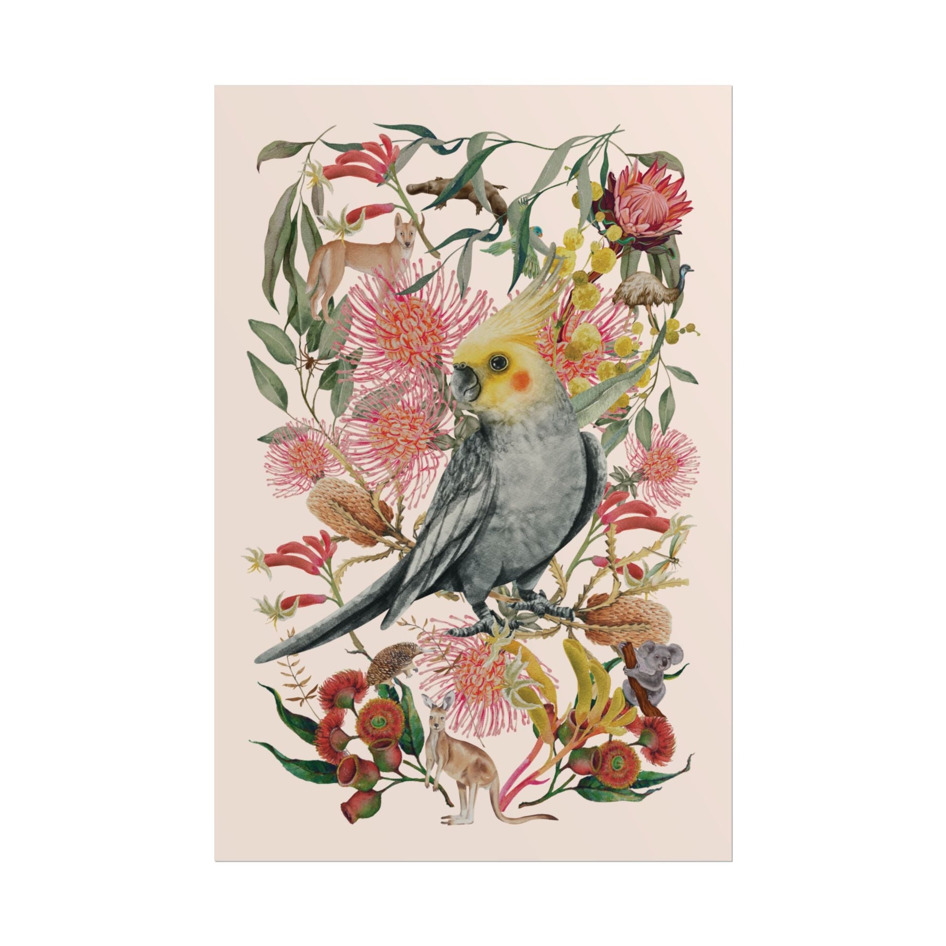 Australian Native Cockatiel unframed poster - Solei Designs