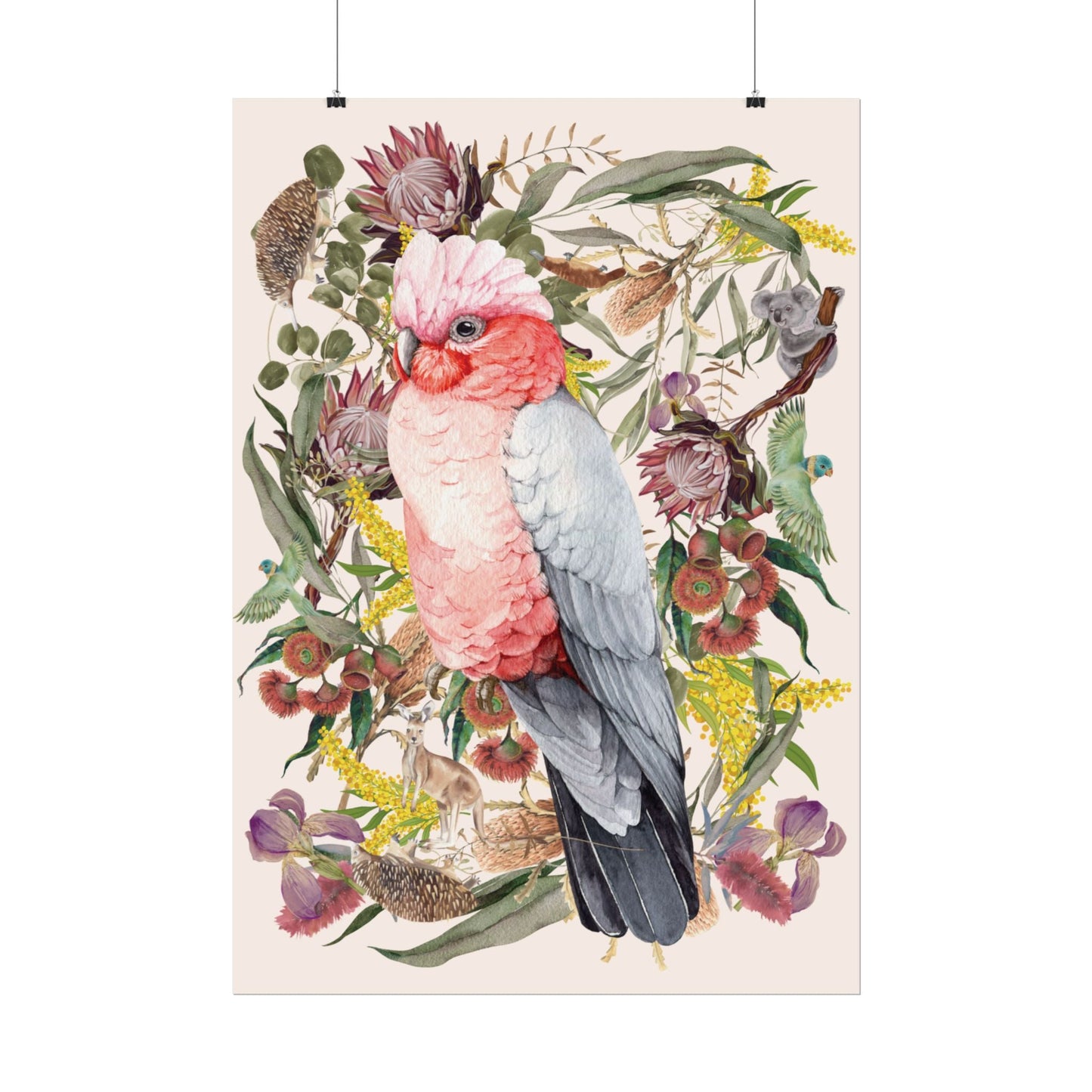 Australian Native Pink Galah unframed poster - Solei Designs