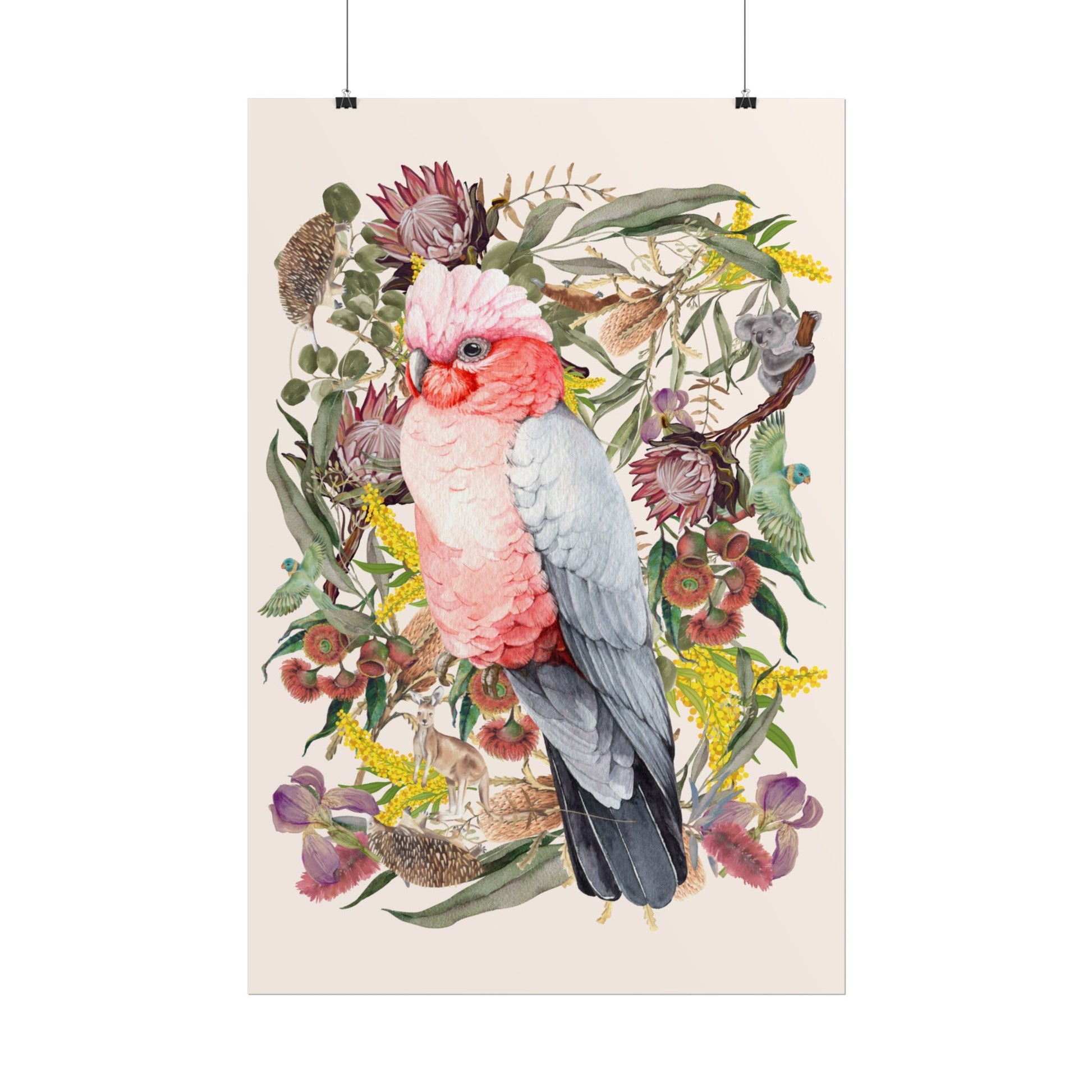 Australian Native Pink Galah unframed poster - Solei Designs