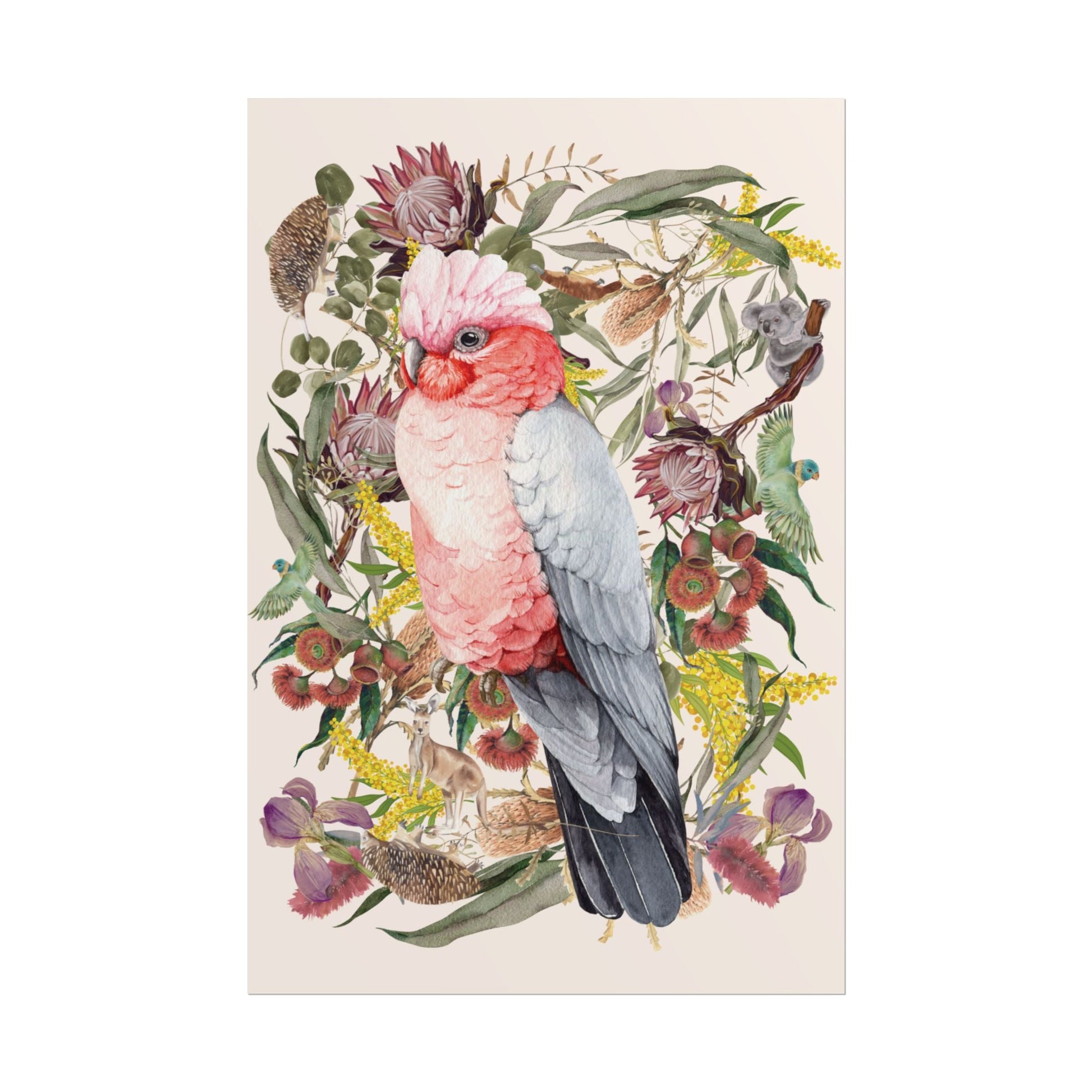 Australian Native Pink Galah unframed poster - Solei Designs