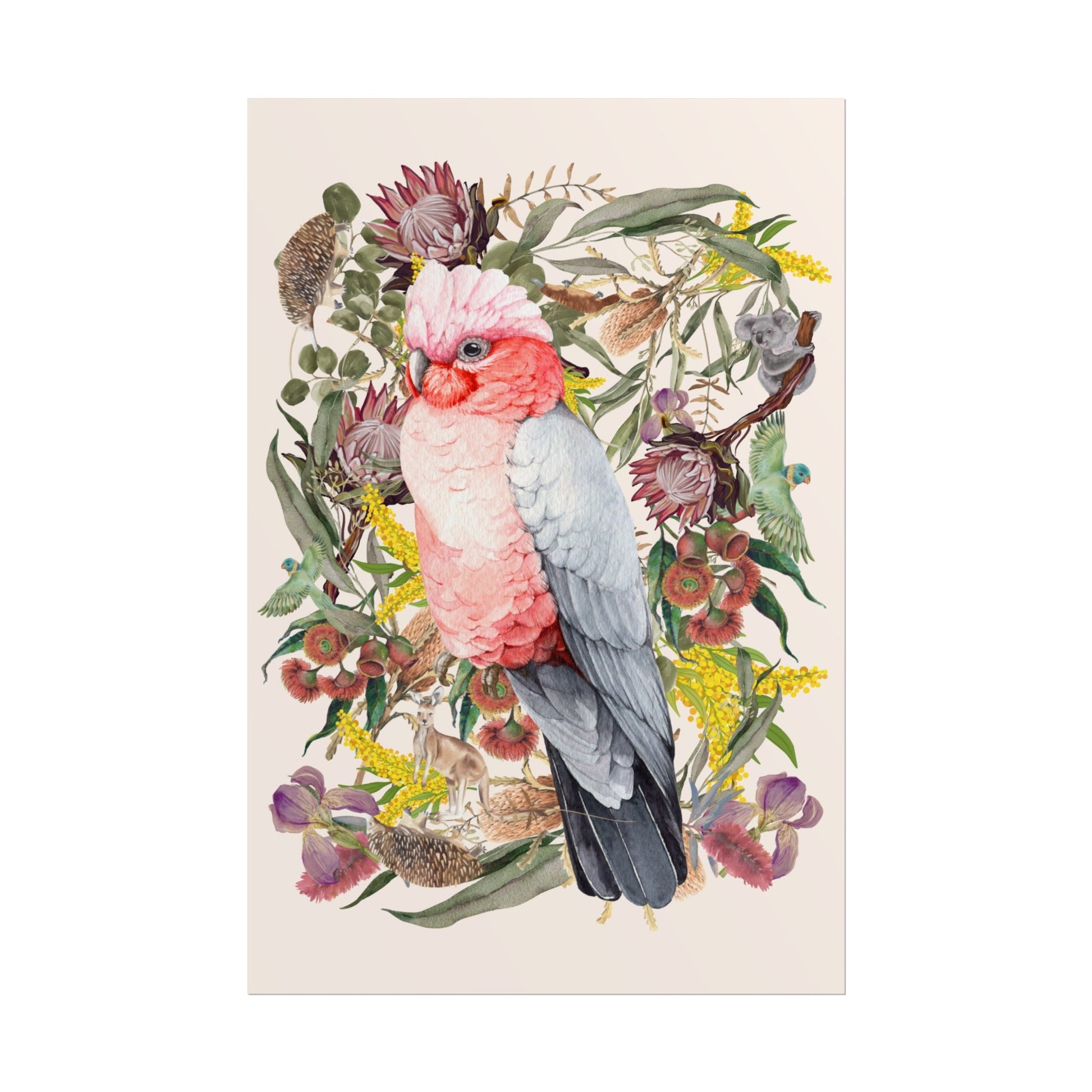 Australian Native Pink Galah unframed poster - Solei Designs