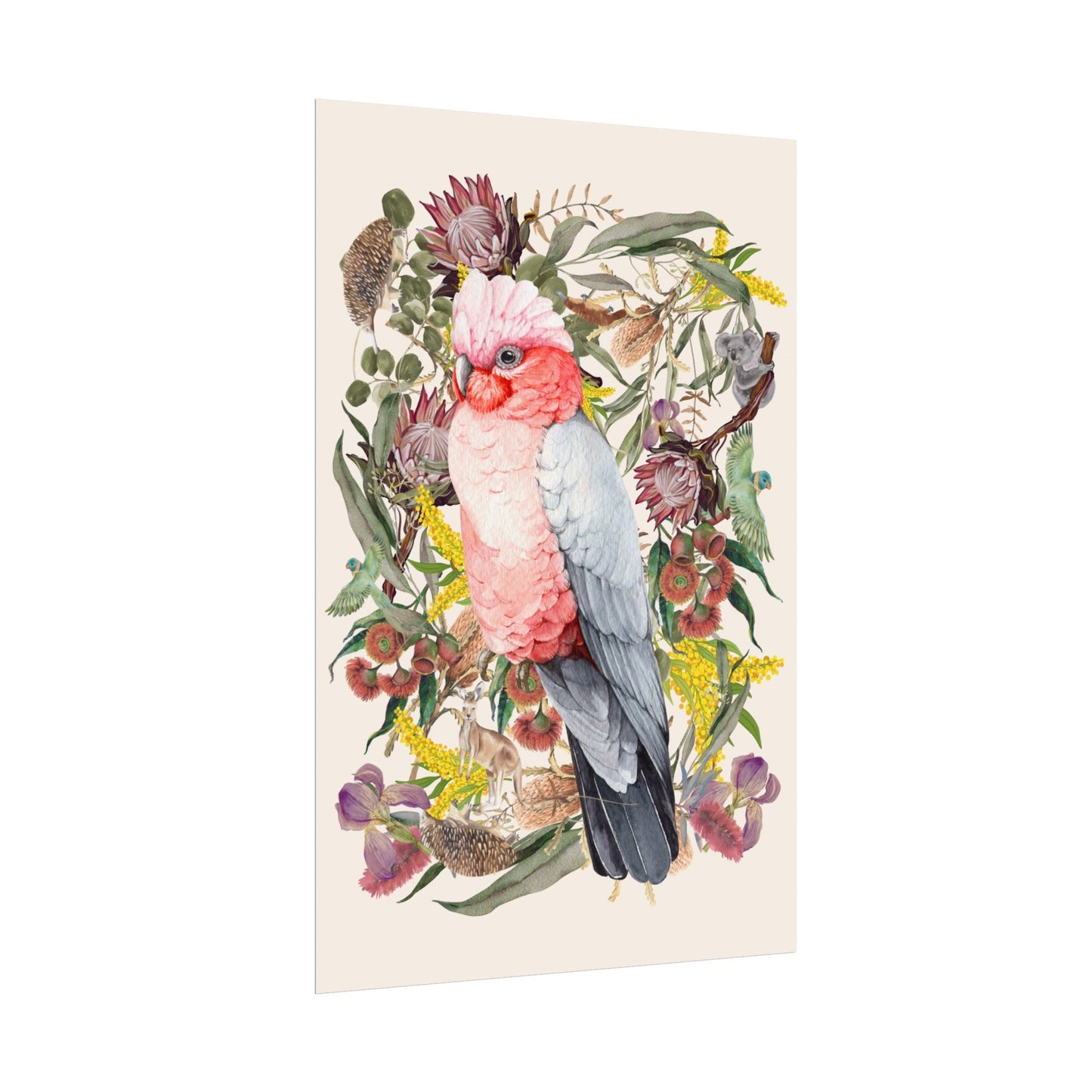 Australian Native Pink Galah unframed poster - Solei Designs