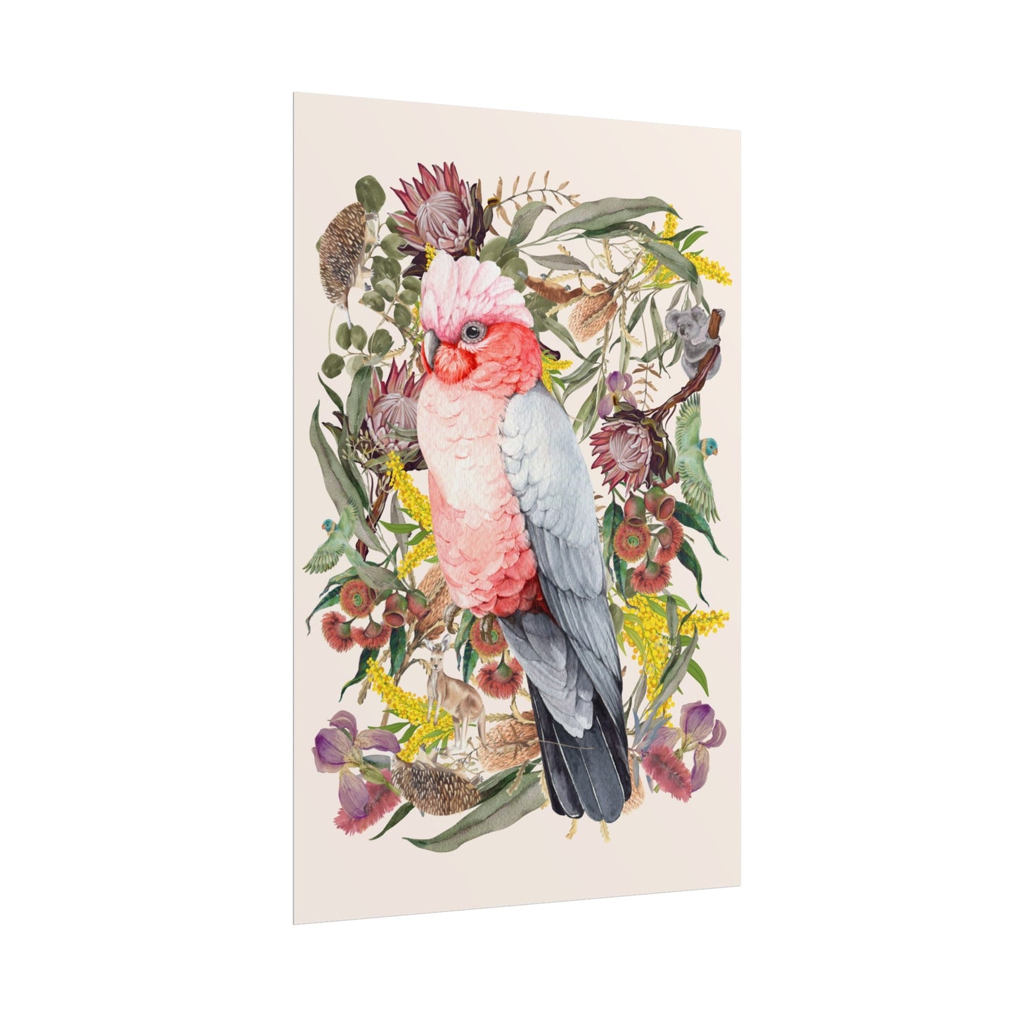 Australian Native Pink Galah unframed poster - Solei Designs