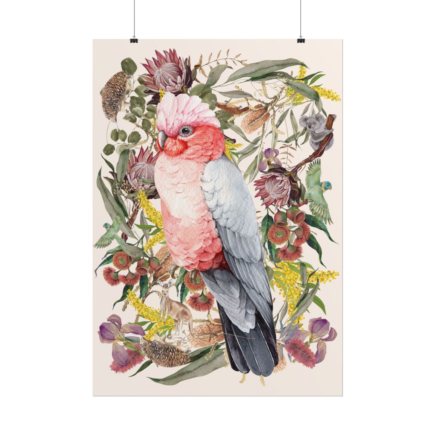 Australian Native Pink Galah unframed poster - Solei Designs