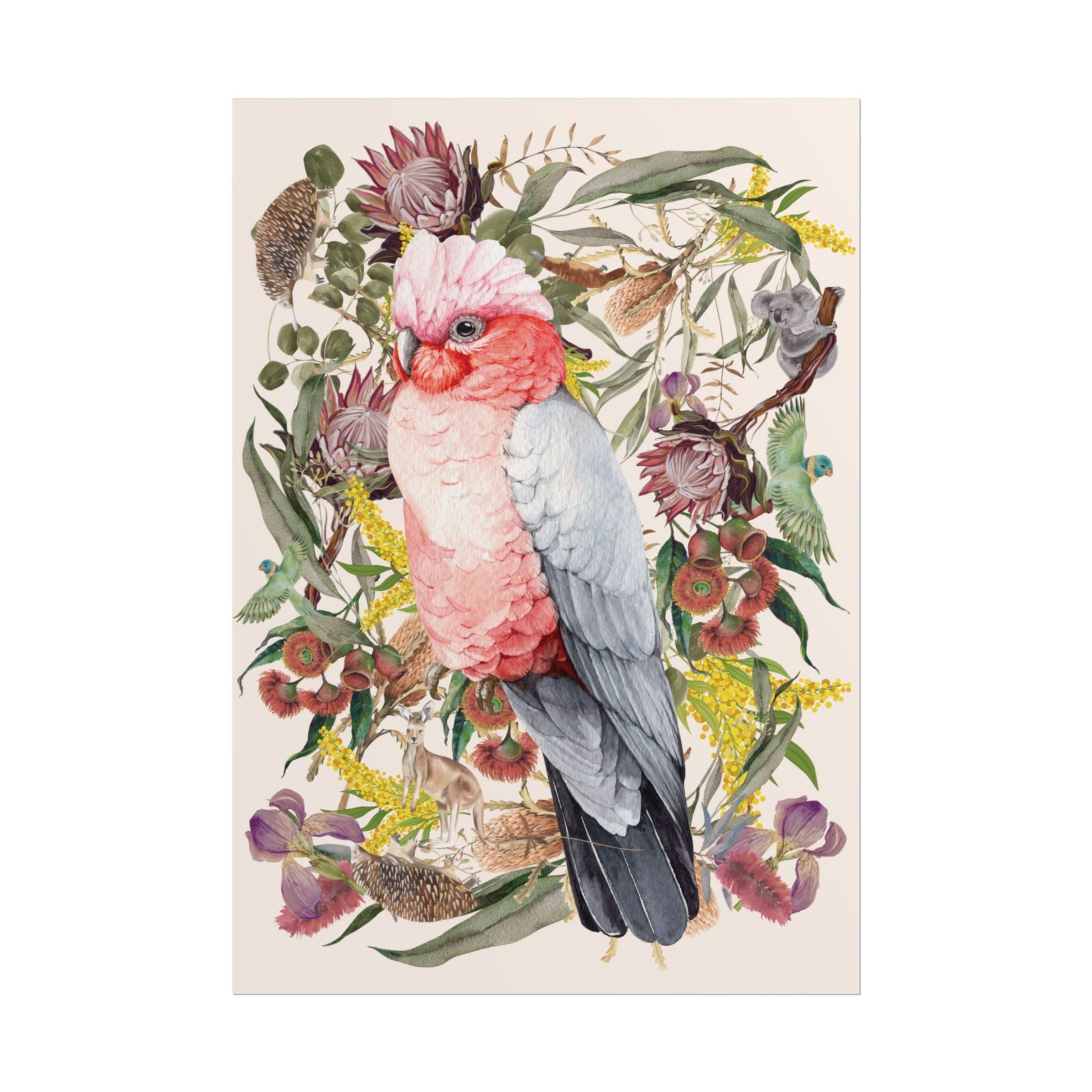 Australian Native Pink Galah unframed poster - Solei Designs