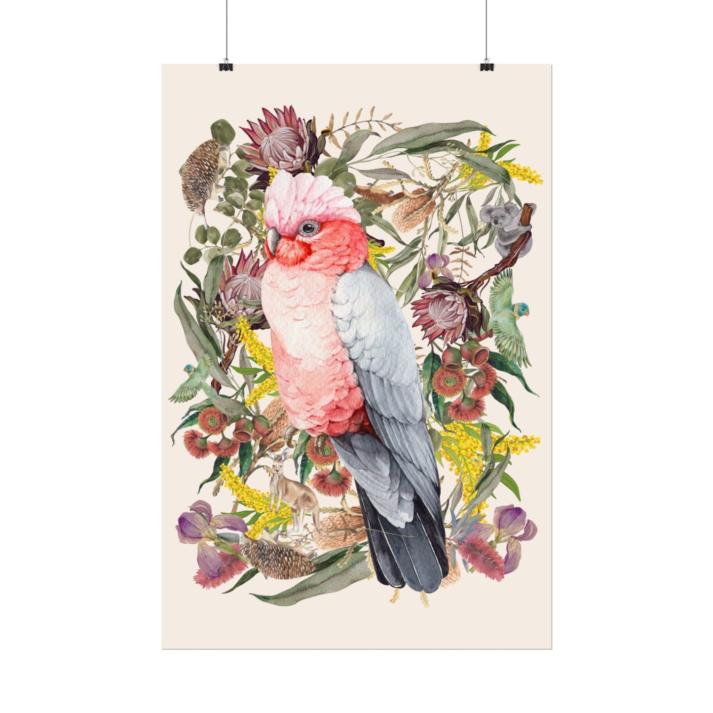 Australian Native Pink Galah unframed poster - Solei Designs