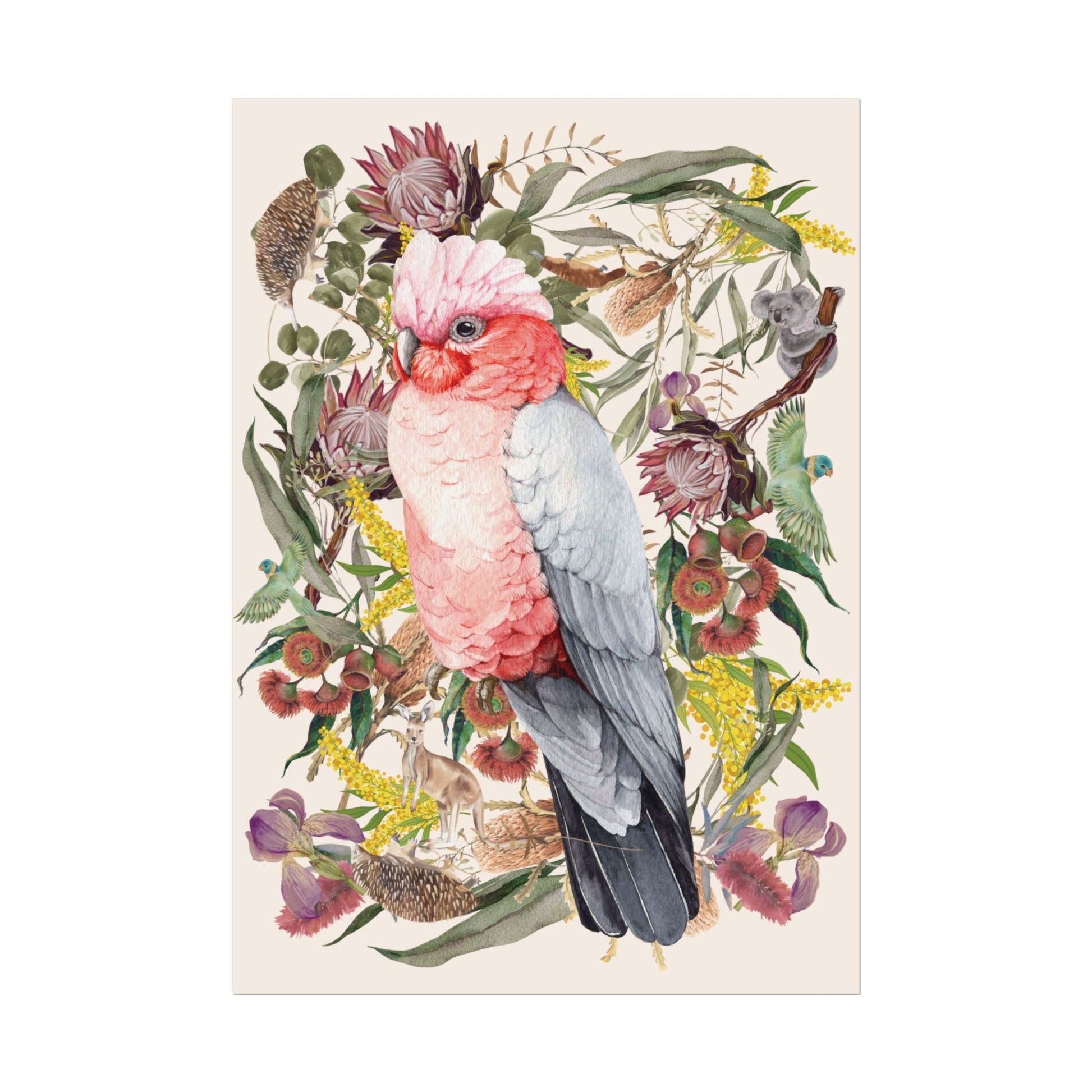 Australian Native Pink Galah unframed poster - Solei Designs