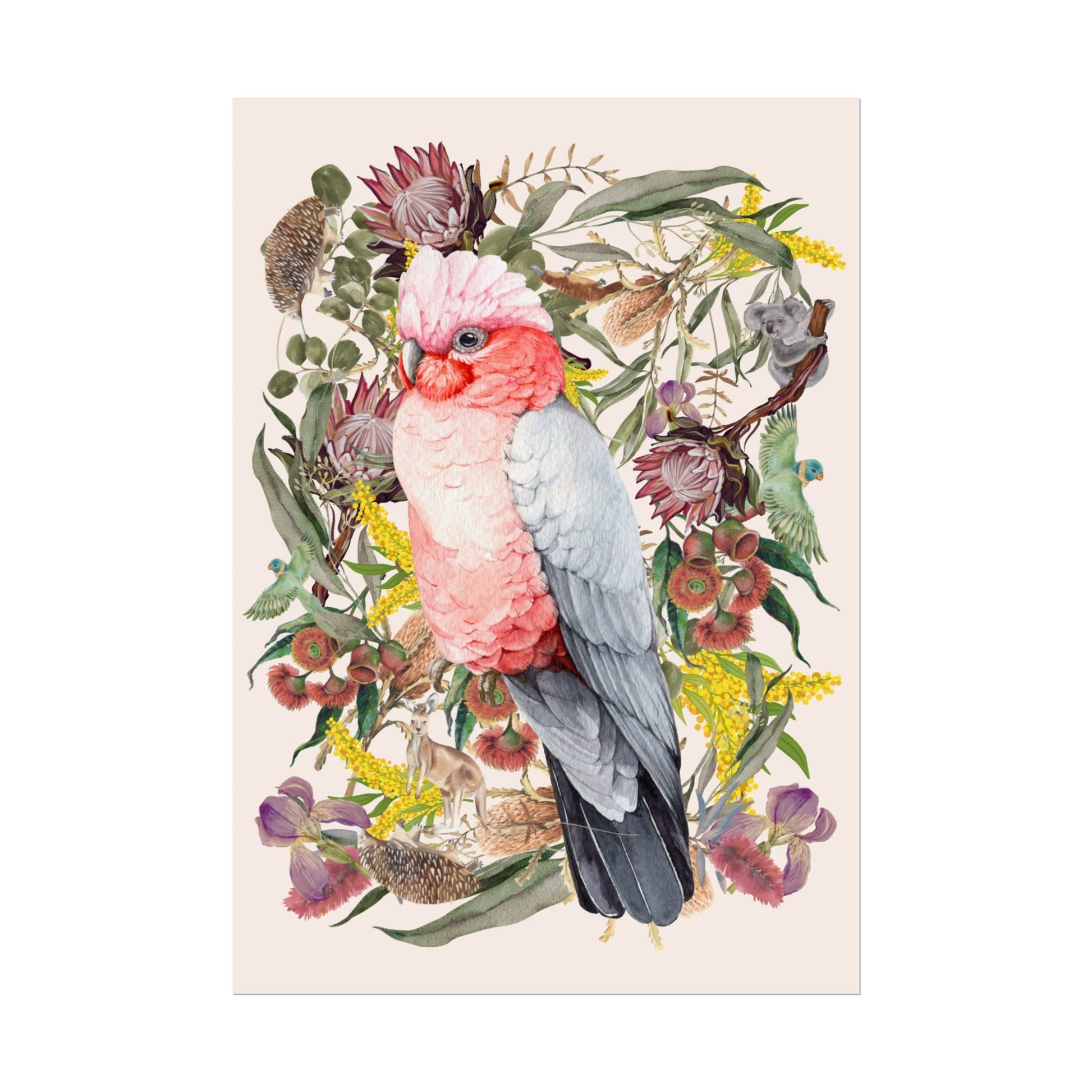 Australian Native Pink Galah unframed poster - Solei Designs