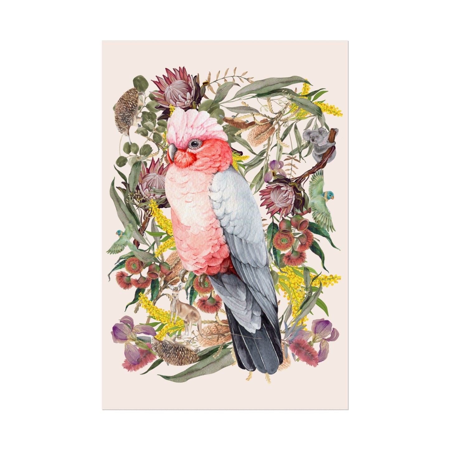 Australian Native Pink Galah unframed poster - Solei Designs