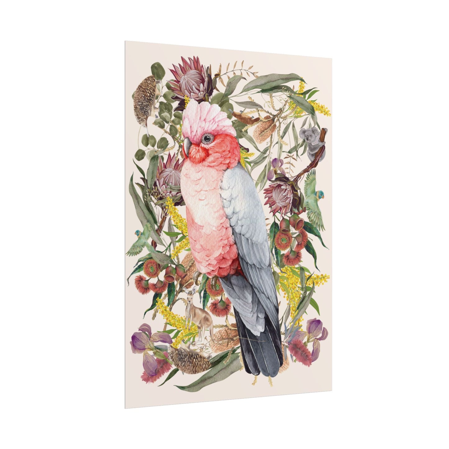 Australian Native Pink Galah unframed poster - Solei Designs