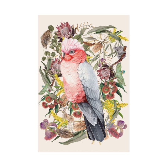 Australian Native Pink Galah unframed poster - Solei Designs