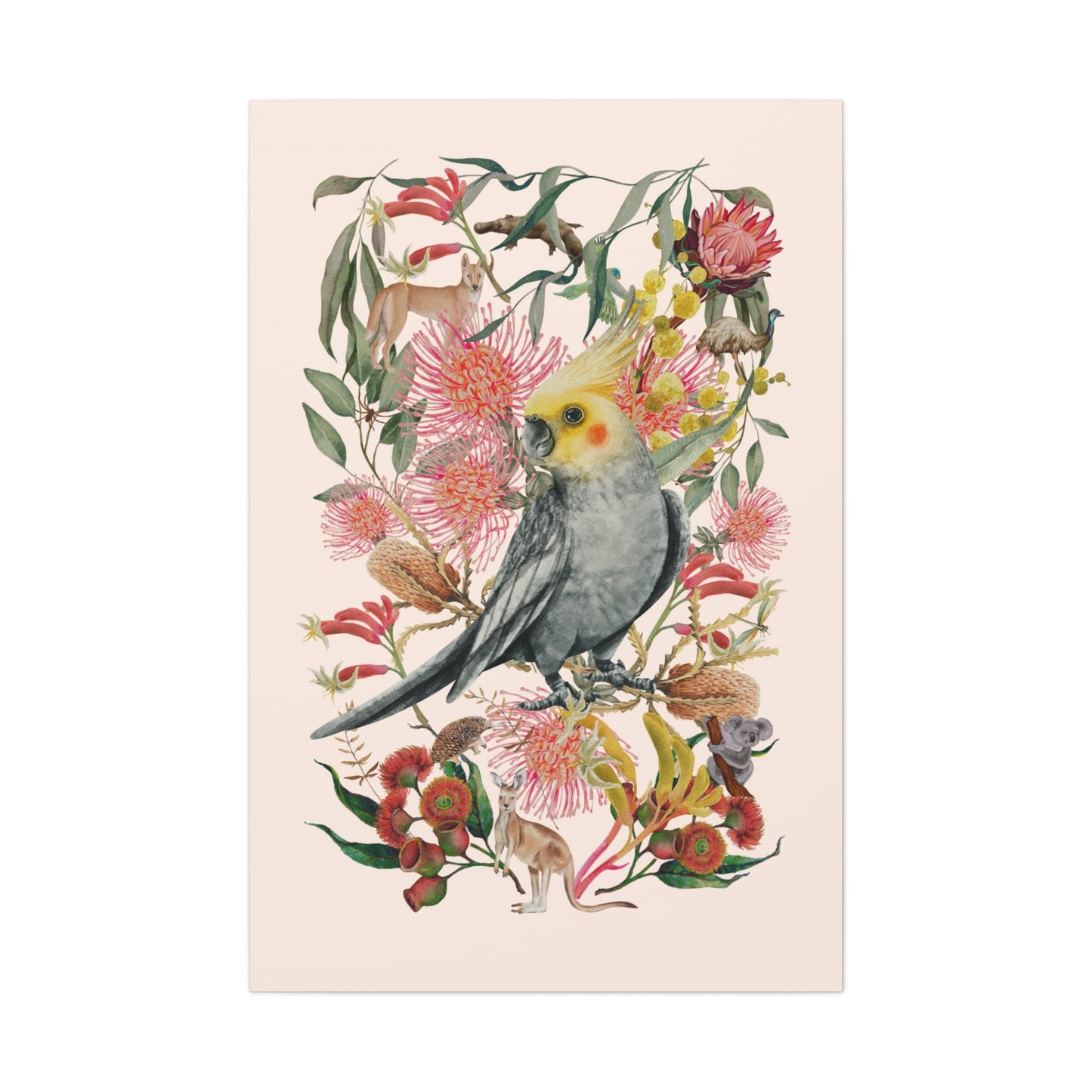 Native Australian Cockatiel Canvas Poster - Solei Designs