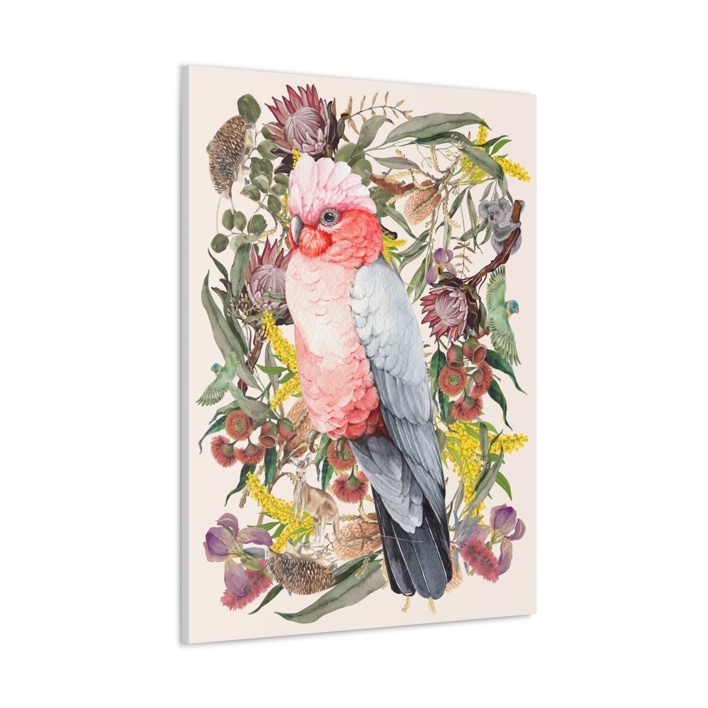 Native Australian Pink Galah Canvas Poster - Solei Designs