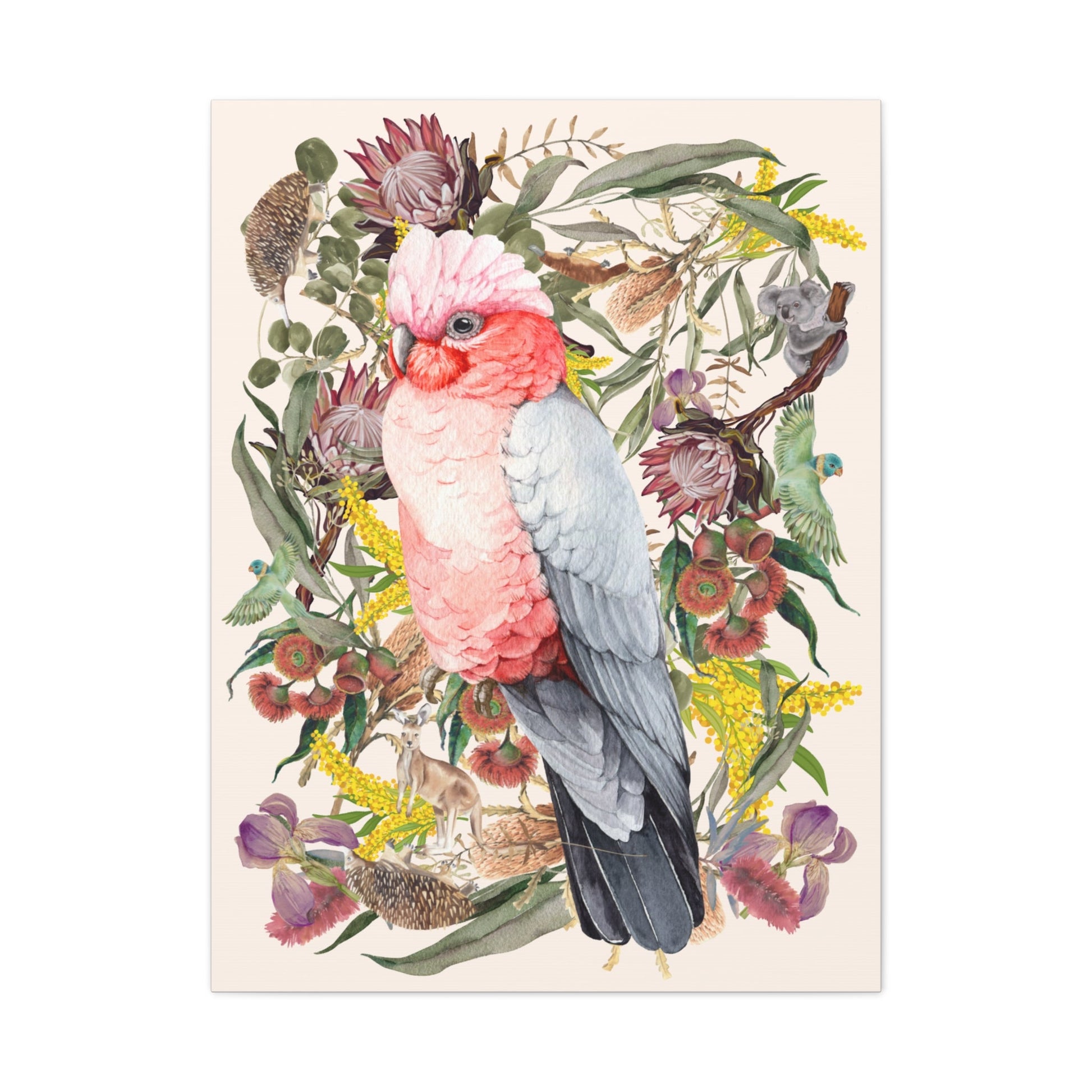 Native Australian Pink Galah Canvas Poster - Solei Designs