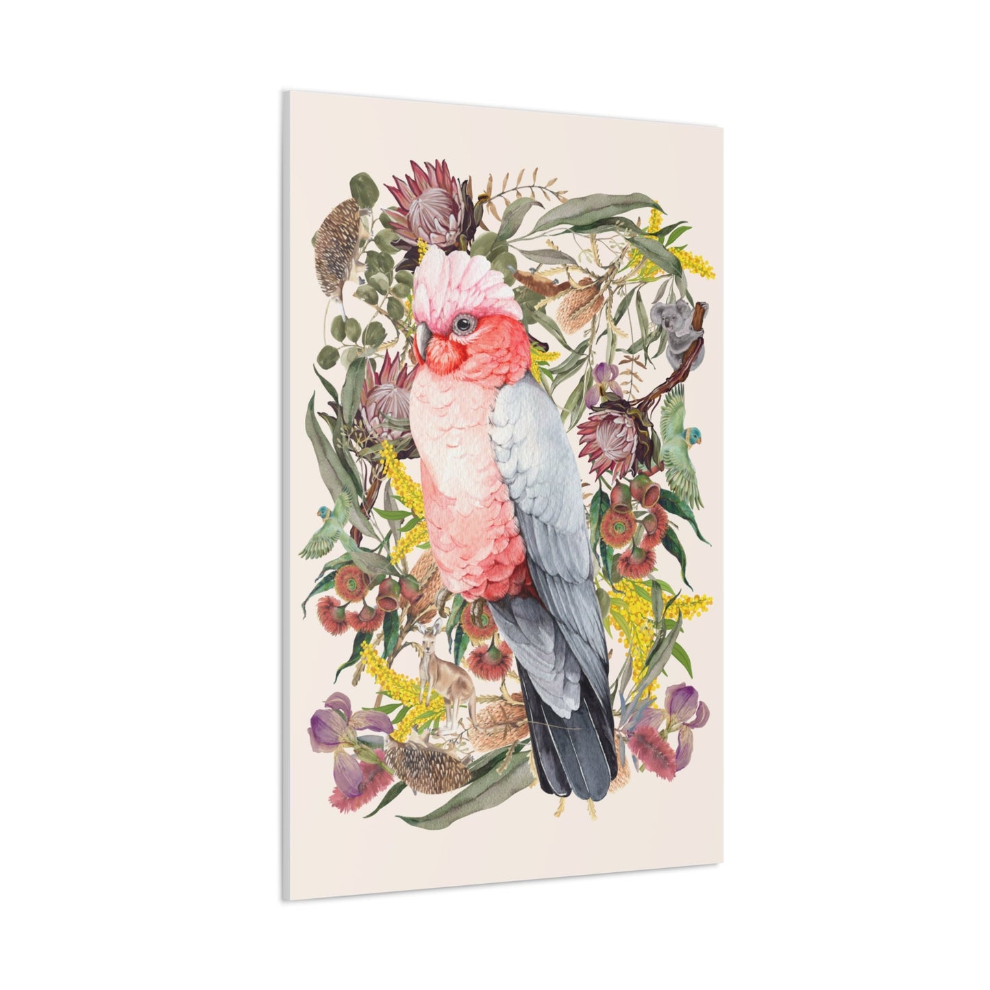 Native Australian Pink Galah Canvas Poster - Solei Designs