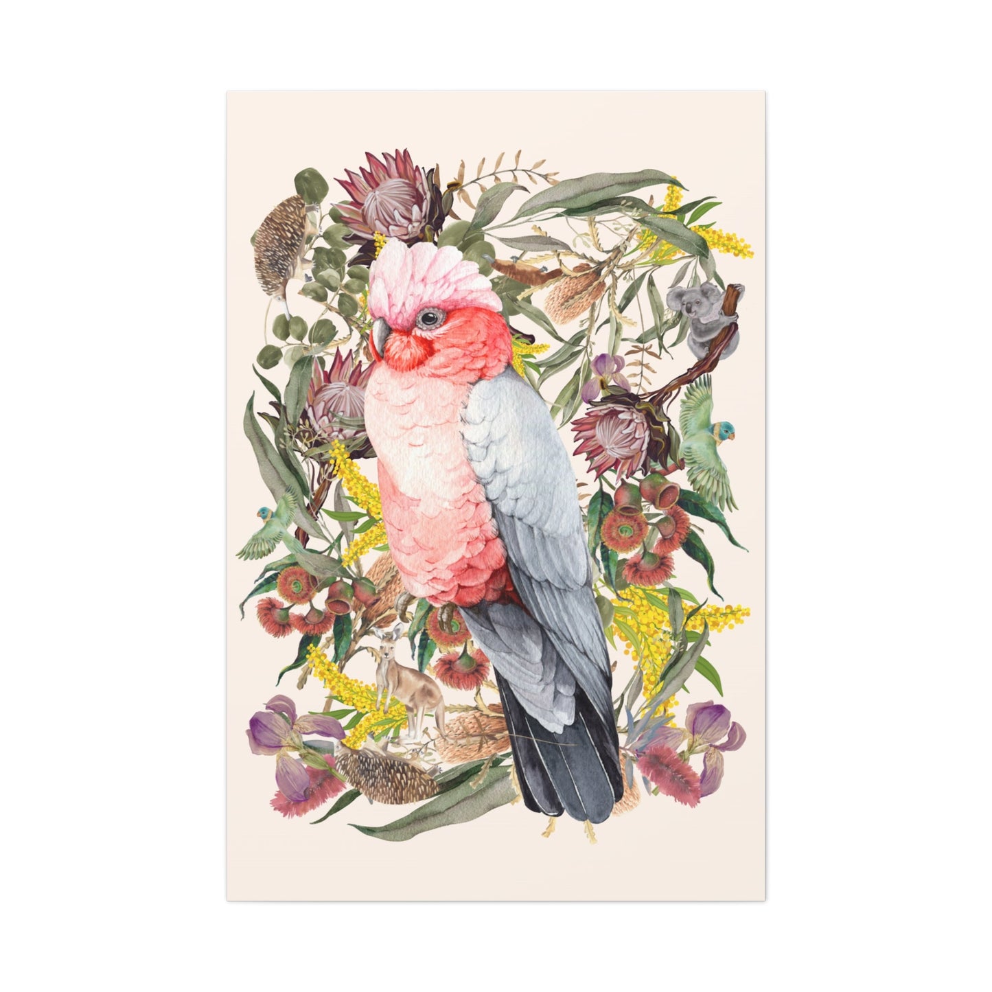 Native Australian Pink Galah Canvas Poster - Solei Designs